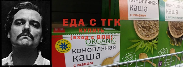 ПСИЛОЦИБИНОВЫЕ ГРИБЫ Балахна