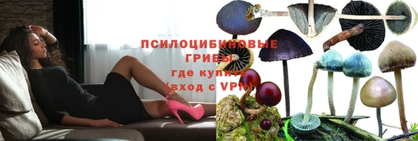 каннабис Каменка