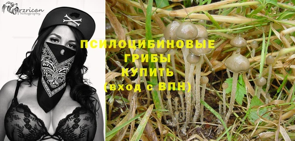 ПСИЛОЦИБИНОВЫЕ ГРИБЫ Балахна